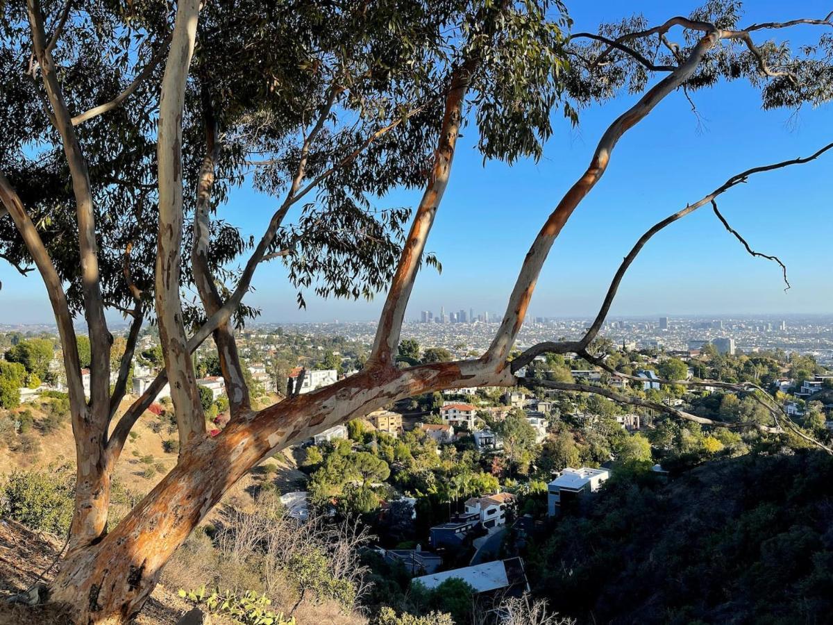 Hollywood Hills 1940S Mansion Hotel Лос Анджелис Екстериор снимка